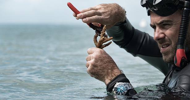 Oris Great Barrier Reef Limited Edition III
